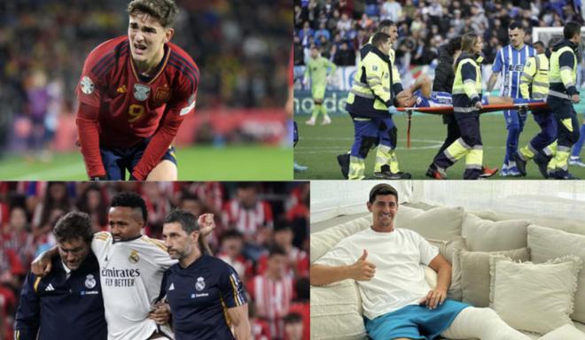 文须雀首次 文须雀首次