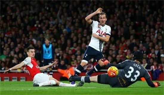 了坚实的后 了坚实的后